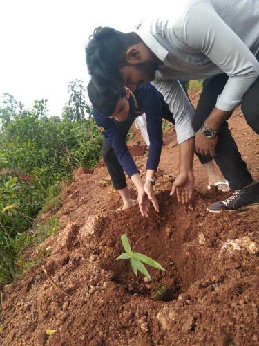 Celebrating World Green Building week by planting saplings