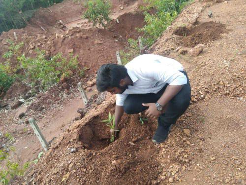 Celebrating World Green Building week by planting saplings