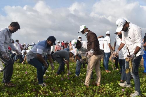 World Green Building week with 'International Coastal Cleanup day'